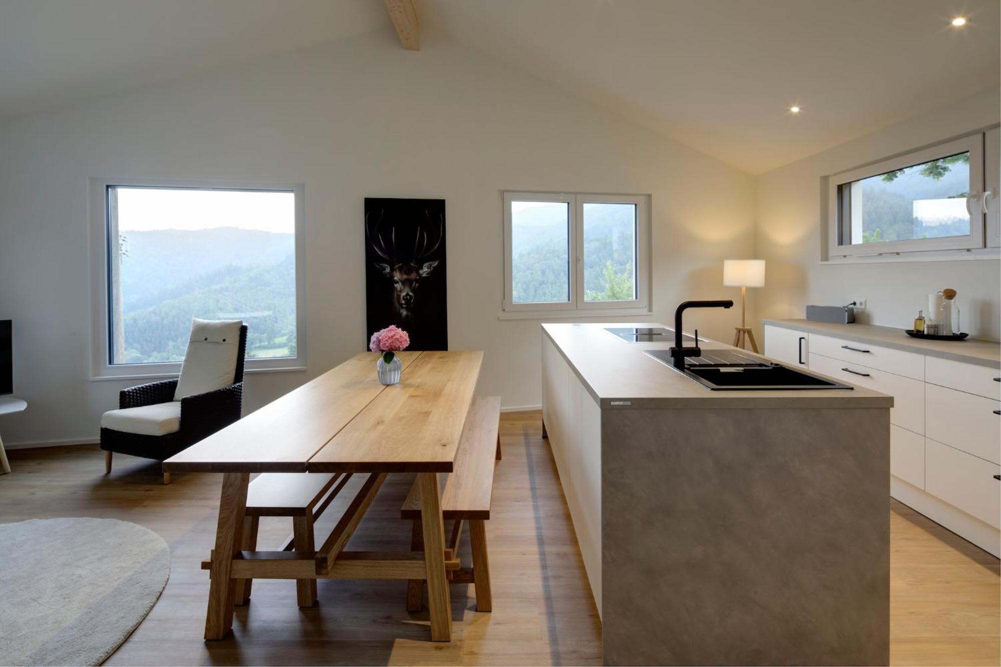 Apartment Panorama Horben